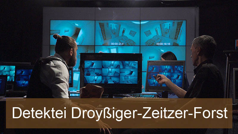 Detektei Droyßiger-Zeitzer-Forst
