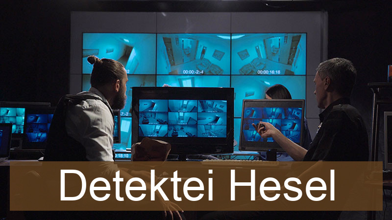 Detektei Hesel