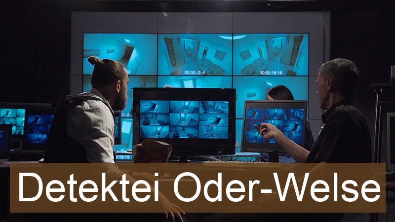 Detektei Oder-Welse
