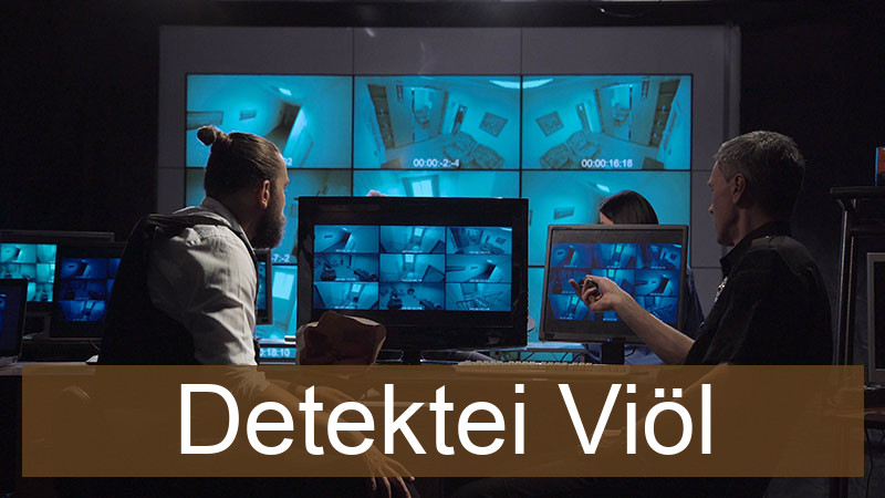 Detektei Viöl