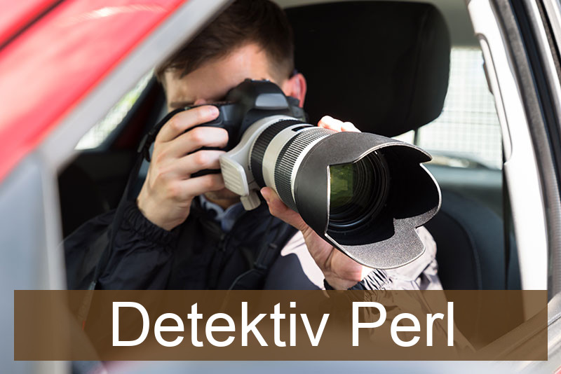 Detektiv Perl
