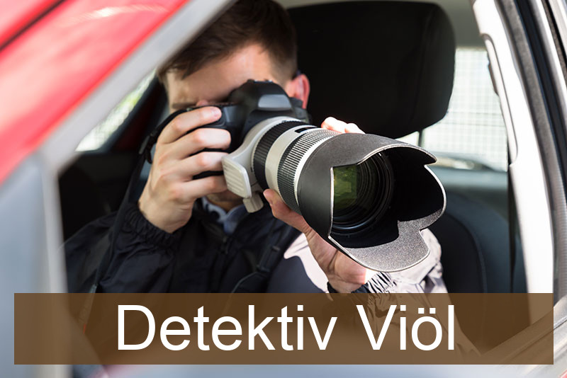 Detektiv Viöl